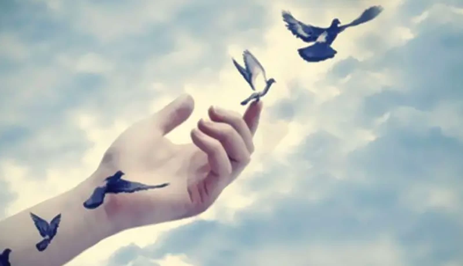 عبور إلى دار البقاء